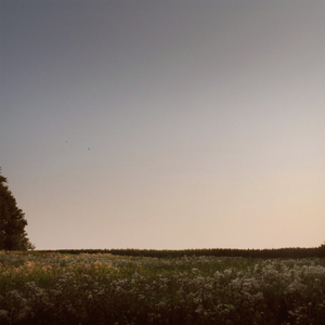 400部酒店情侣偷拍视频
